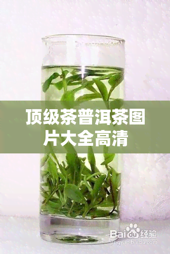 顶级茶普洱茶图片大全高清