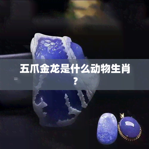 五爪金龙是什么动物生肖？