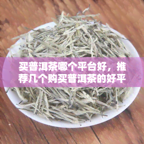 买普洱茶哪个平台好，推荐几个购买普洱茶的好平台