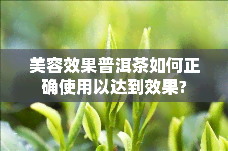 美容效果普洱茶如何正确使用以达到效果?