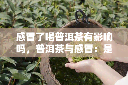 感冒了喝普洱茶有影响吗，普洱茶与感冒：是否适合饮用？