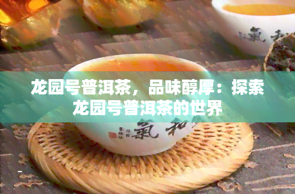 龙园号普洱茶，品味醇厚：探索龙园号普洱茶的世界