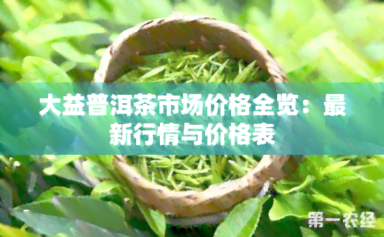 大益普洱茶市场价格全览：最新行情与价格表