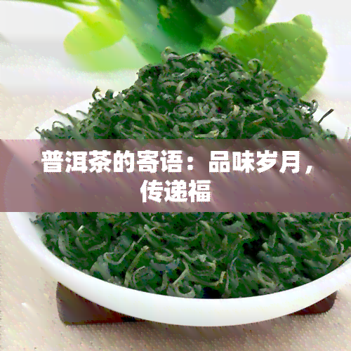 普洱茶的寄语：品味岁月，传递福