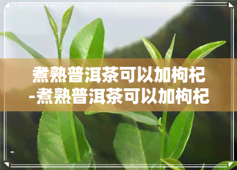 煮熟普洱茶可以加枸杞-煮熟普洱茶可以加枸杞吗