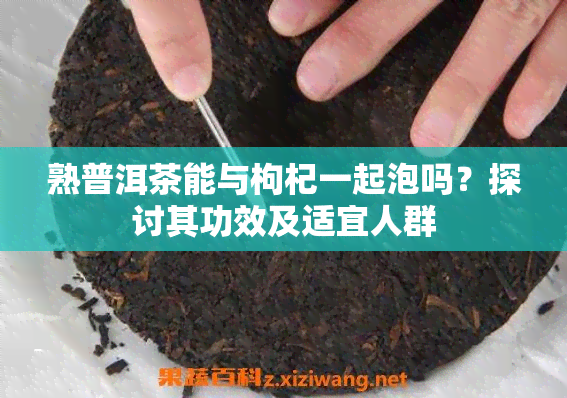 熟普洱茶能与枸杞一起泡吗？探讨其功效及适宜人群