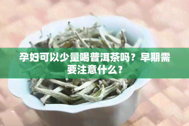 孕妇可以少量喝普洱茶吗？早期需要注意什么？