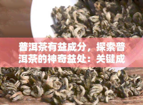 普洱茶有益成分，探索普洱茶的神奇益处：关键成分解析