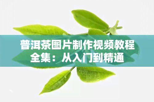 普洱茶图片制作视频教程全集：从入门到精通