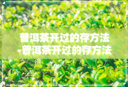 普洱茶开过的存方法-普洱茶开过的存方法有哪些