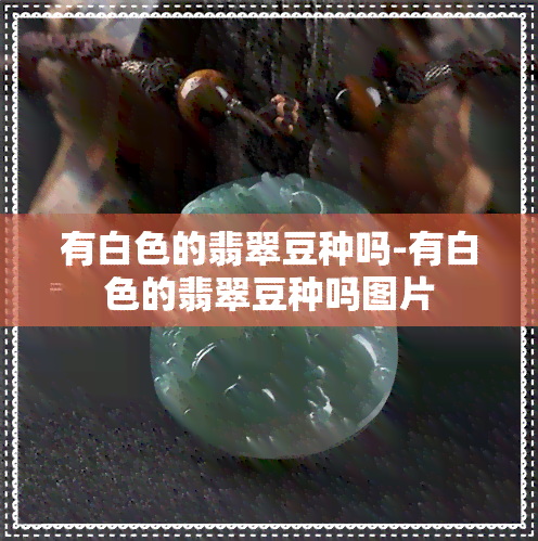 有白色的翡翠豆种吗-有白色的翡翠豆种吗图片