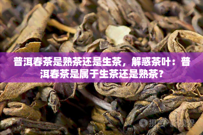 普洱春茶是熟茶还是生茶，解惑茶叶：普洱春茶是属于生茶还是熟茶？