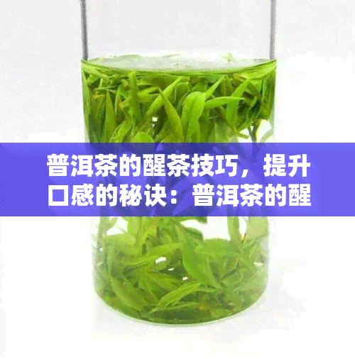 普洱茶的醒茶技巧，提升口感的秘诀：普洱茶的醒茶技巧详解