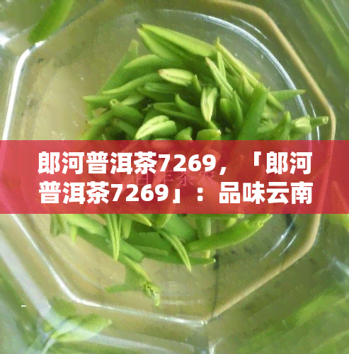 郎河普洱茶7269，「郎河普洱茶7269」：品味云南的韵味与风情