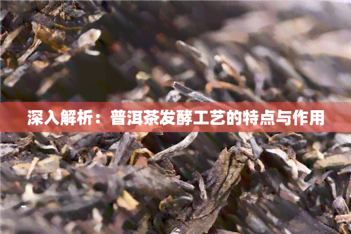 深入解析：普洱茶发酵工艺的特点与作用