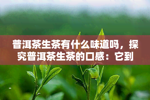 普洱茶生茶有什么味道吗，探究普洱茶生茶的口感：它到底是什么味道？