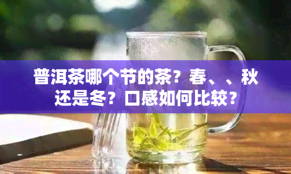 普洱茶哪个节的茶？春、、秋还是冬？口感如何比较？