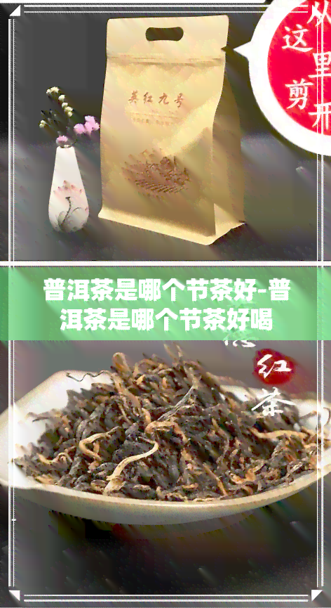 普洱茶是哪个节茶好-普洱茶是哪个节茶好喝