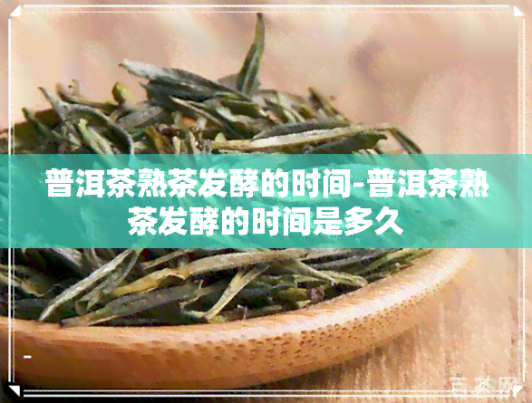 普洱茶熟茶发酵的时间-普洱茶熟茶发酵的时间是多久