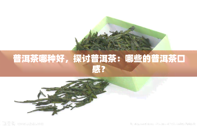 普洱茶哪种好，探讨普洱茶：哪些的普洱茶口感？