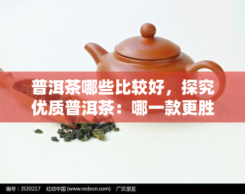 普洱茶哪些比较好，探究优质普洱茶：哪一款更胜一筹？