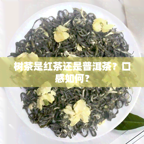 树茶是红茶还是普洱茶？口感如何？