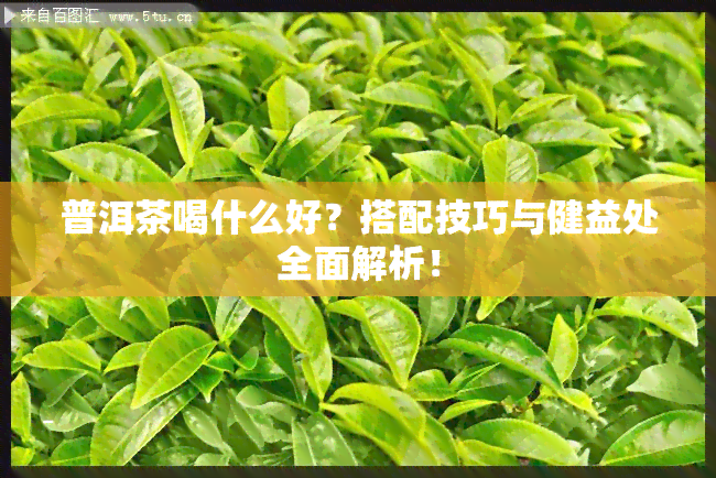 普洱茶喝什么好？搭配技巧与健益处全面解析！