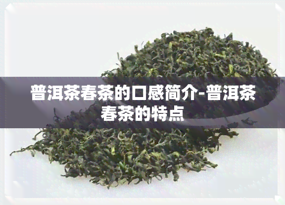 普洱茶春茶的口感简介-普洱茶春茶的特点