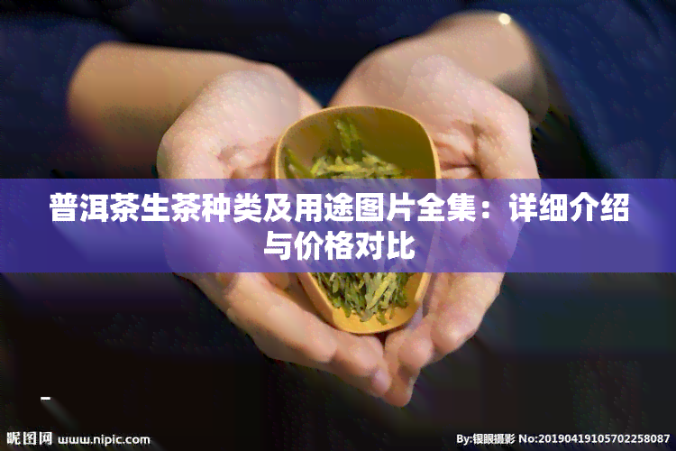 普洱茶生茶种类及用途图片全集：详细介绍与价格对比