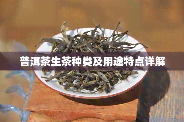 普洱茶生茶种类及用途特点详解