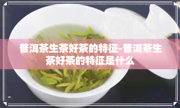 普洱茶生茶好茶的特征-普洱茶生茶好茶的特征是什么