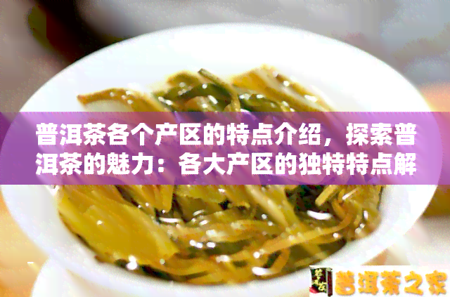 普洱茶各个产区的特点介绍，探索普洱茶的魅力：各大产区的独特特点解析