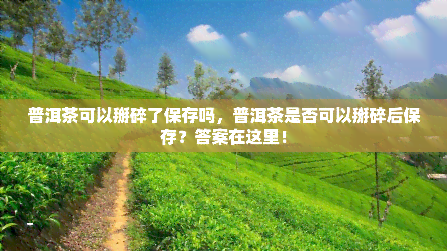 普洱茶可以掰碎了保存吗，普洱茶是否可以掰碎后保存？答案在这里！