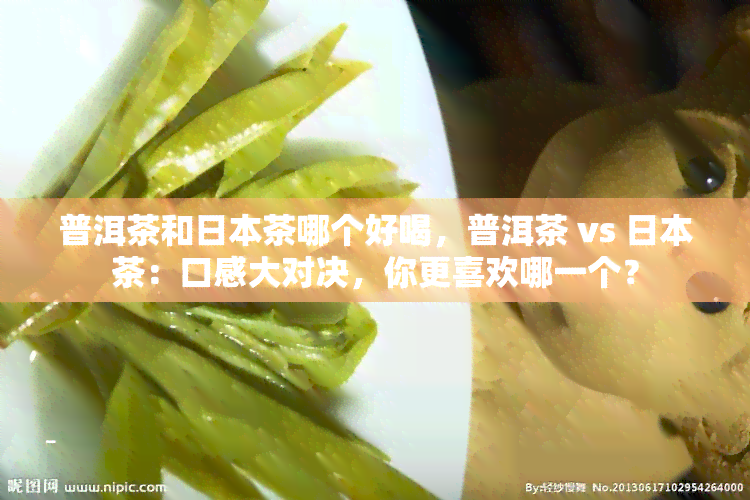 普洱茶和茶哪个好喝，普洱茶 vs 茶：口感大对决，你更喜欢哪一个？