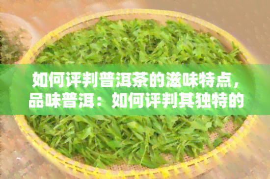 如何评判普洱茶的滋味特点，品味普洱：如何评判其独特的滋味特点？