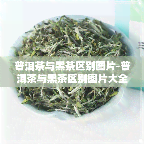 普洱茶与黑茶区别图片-普洱茶与黑茶区别图片大全