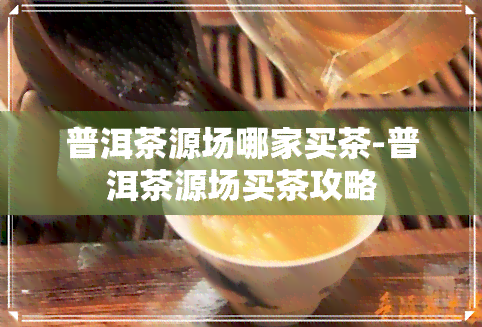 普洱茶源场哪家买茶-普洱茶源场买茶攻略