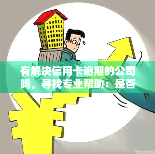 有解决信用卡逾期的公司吗，寻找专业帮助：是否有解决信用卡逾期问题的公司？