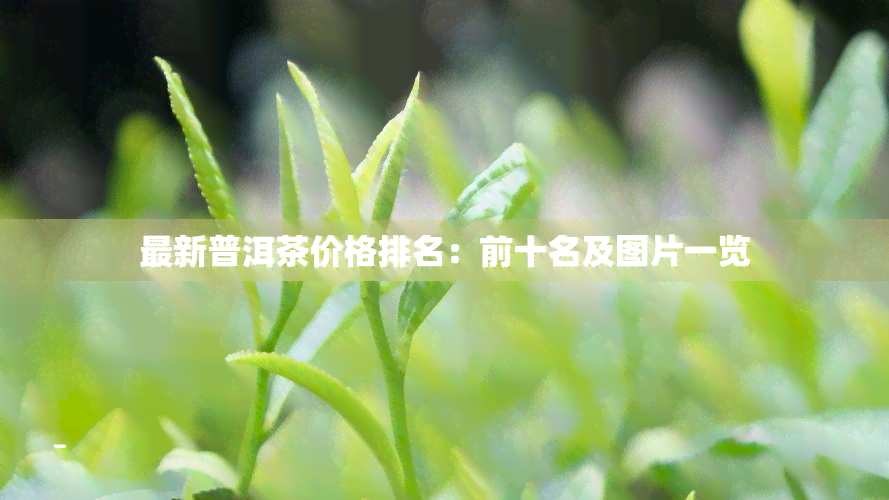 最新普洱茶价格排名：前十名及图片一览