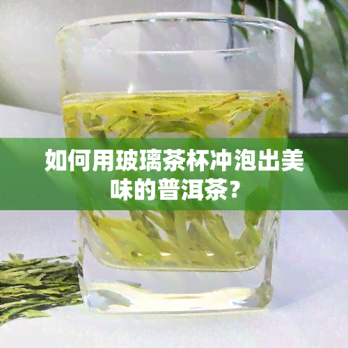 如何用玻璃茶杯冲泡出美味的普洱茶？