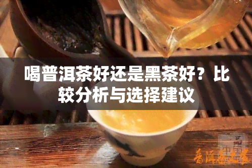 喝普洱茶好还是黑茶好？比较分析与选择建议