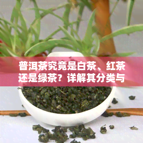 普洱茶究竟是白茶、红茶还是绿茶？详解其分类与特点