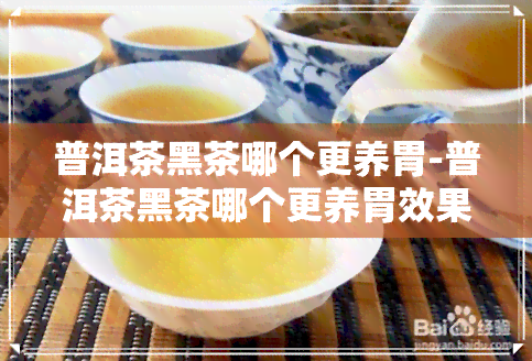 普洱茶黑茶哪个更养胃-普洱茶黑茶哪个更养胃效果好