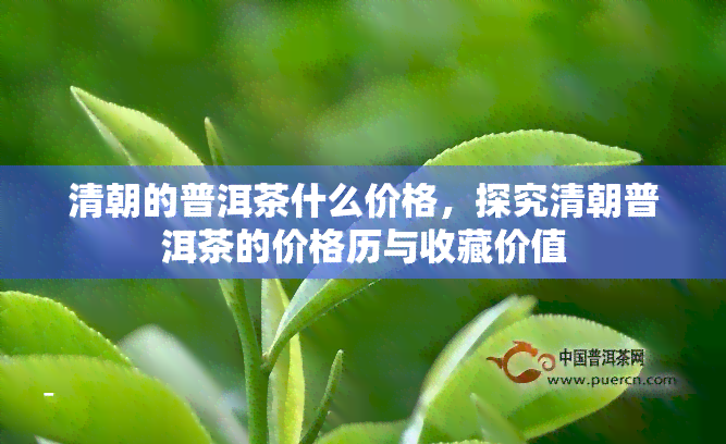 清朝的普洱茶什么价格，探究清朝普洱茶的价格历与收藏价值