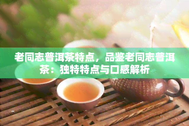 老同志普洱茶特点，品鉴老同志普洱茶：独特特点与口感解析