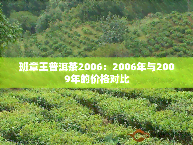 班章王普洱茶2006：2006年与2009年的价格对比