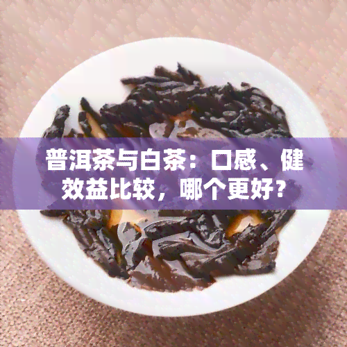 普洱茶与白茶：口感、健效益比较，哪个更好？