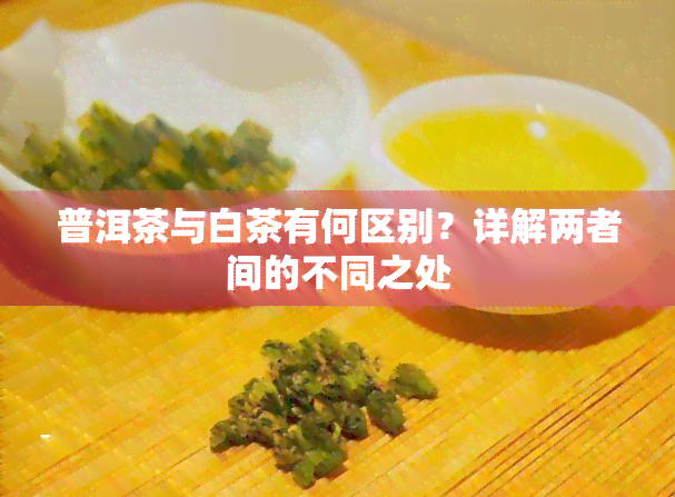 普洱茶与白茶有何区别？详解两者间的不同之处