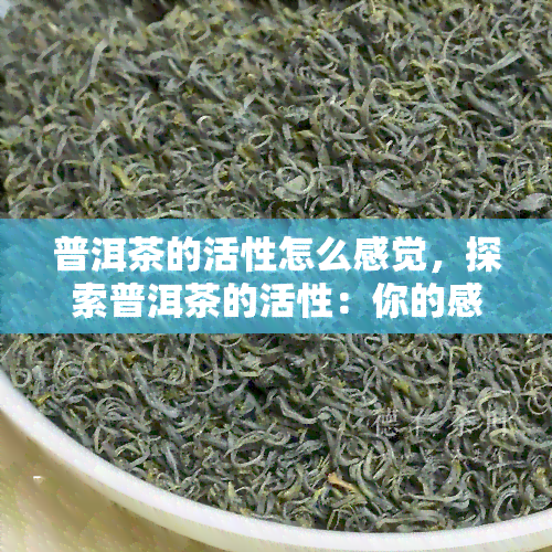 普洱茶的活性怎么感觉，探索普洱茶的活性：你的感受是什么？