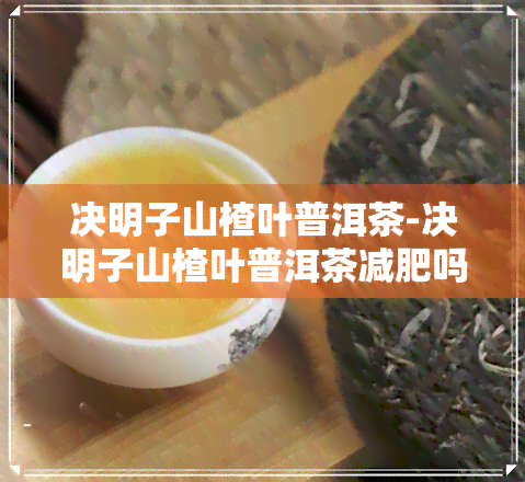 决明子山楂叶普洱茶-决明子山楂叶普洱茶减肥吗